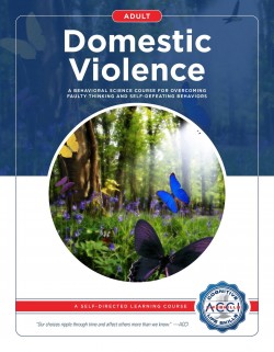 Domestic Violence